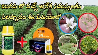 basf exponus insecticide  exponus basf insecticide  uses telugu  basf merivon fungicide [upl. by Annaya]