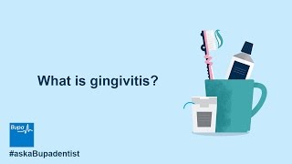 What is gingivitis  Bupa Health [upl. by Haelak725]