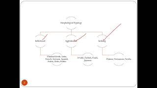 Morphological Typology of Languages [upl. by Karame]