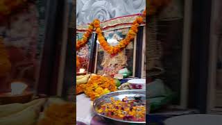 Mera Bhola hai damru wala 🙏🌹ytshortsvideo harharmahadev kirtan bhajan 🙏🌹 [upl. by O'Toole407]