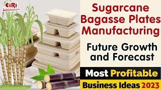 Sugarcane Bagasse Plates Manufacturing [upl. by Eelsew]