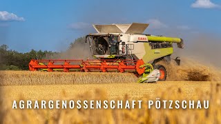 Die Getreideernte 2023  Landwirtschaft  Agrargenossenschaft Pötzschau [upl. by Attenad529]