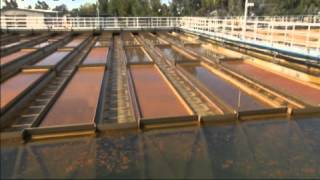 WSO Coagulation Flocculation amp Sedimentation DVD Preview [upl. by Pattani358]