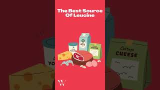 The Best Source Of Leucine shorts leucine aminoacids [upl. by Canty548]