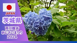 【茨城県】雨引観音 あじさいまつりNo116 [upl. by Seena]