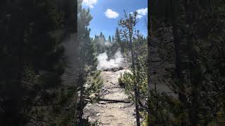 Arch Steam Vent  Norris Geyser Basin yellowstonenationalpark geothermalwonders steamvent [upl. by Staci341]