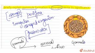 Briefly explain gemmule formation is sponges Write its significance  12  REPRODUCTION IN ORG [upl. by Edna]