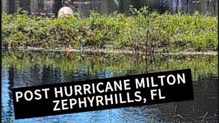 HURRICANE MILTON 1 WEEK LATER ZEPHYRHILLS HURRICANE MILTON tampa [upl. by Grewitz]