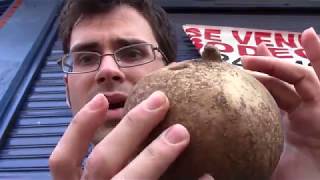 Mamey Apple review Mammea americana  Weird Fruit Explorer Ep 222 [upl. by Nenney766]