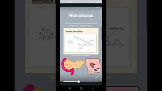 Clasificación de enzimas ciencia curiosidades [upl. by Sekofski]