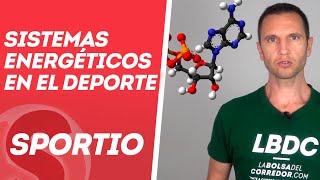 Sistemas energéticos en el deporte [upl. by Nathanial787]