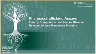 Eurofins DiscoverX Pharmacotrafficking Assay [upl. by Assina]