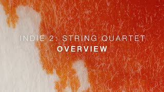 Indie 2  String Quartet  Overview [upl. by Agretha]