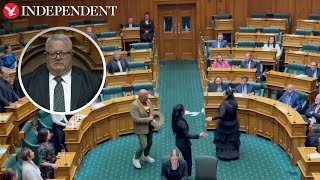 MPs break into protest haka to disrupt New Zealand parliament [upl. by Larkin]