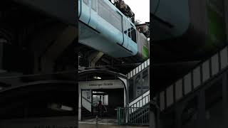 Die Wuppertaler Schwebebahn wuppertal schwebebahn nrw nordrheinwestfalen zug öpnv bahn [upl. by Wesa]