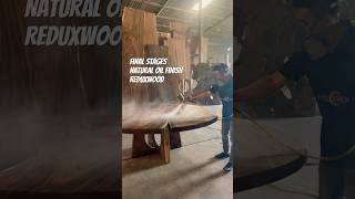 Best Oil Finish woodworking natural [upl. by Enileda]