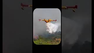 How Rescue Planes Refill Water in Seconds for Wildfire Missions [upl. by Kaufmann]