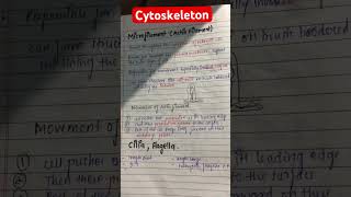 Cytoskeleton biology csirnetkeliyebestcoaching youtubeshorts new shorts studywithamrita [upl. by Ytoc954]