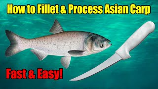 How to Fillet amp Process Silver and Bighead Asian Carp – Fast amp Easy [upl. by Lacim413]