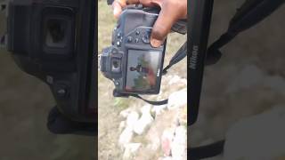 nikon d3500 vs 1855mm lens photoshoot 📸 shorts ytshorts youtubeshorts photography trending [upl. by Ariane]