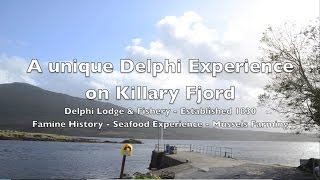 A unique Delphi Experience on Killary Fjord 1080p [upl. by Melessa779]