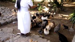 Con los Arhuacos en la Sierra Nevada de Santa Marta [upl. by Kenton37]