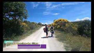 Trekking Passignano sul Trasimeno  Poggio Belveduto Parte 20 [upl. by Andert]