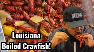 How To Make Louisiana Boiled Crawfish  Southern Cooking  Chef AldenB [upl. by Yraillih]