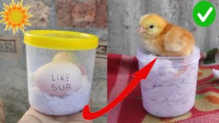 How to hatch eggs at home without incubator  amazing eggs hatching without incubator [upl. by Yrnehnhoj]