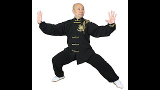 Sun Style 13 Step Taijiquan  孫式太極拳13势 [upl. by Rise830]