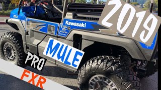 LIFTED 2019 Kawasaki MULE PRO FXR [upl. by Llewop]