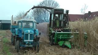 Famulus 36 und Fortschritt E281 mit John Deere Kettengebiss bei der Miscanthusernte [upl. by Sennahoj]