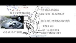 國一生物複式顯微鏡 Part1 複式顯微鏡的各部位構造功能【國中生物】 [upl. by Liagaba]