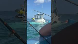 A Sportfish goes under just off the coast of Negril We spotted this while going fishing [upl. by Ottie]