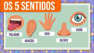 OS 5 SENTIDOS  PALADAR AUDIÇÃO TATO OLFATO E VISÃO  EDUCAÇÃO INFANTIL [upl. by Ranie969]