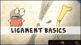 Ligament Basics  Science Explained [upl. by Aryaz431]