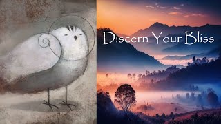 Discern Your Bliss [upl. by Casteel]