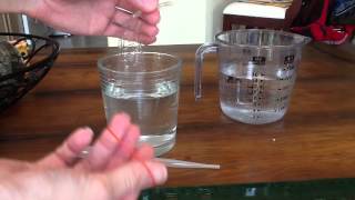 How to Set Up Dialysis Tubing for Your Osmosis Lab [upl. by Emily301]