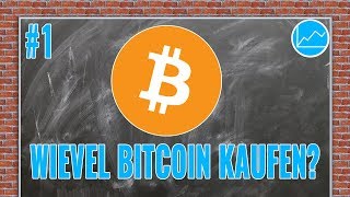 Einstieg in BTC Wieviel Bitcoin sollte man besitzen Was sind realistische Ziele und Erwartungen [upl. by Ateekahs320]