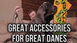 Great Danes  Great Accessories [upl. by Anig]