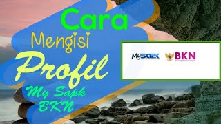 Cara Mengisi My Sapk  Mengisi Data Profil Pada My sapk BKN [upl. by Rosalinde]