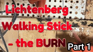 Lichtenberg Walking Stick  The Burn  Part 1 [upl. by Alvar]