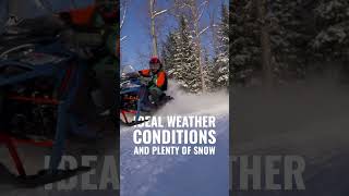 Bonjour Québec AbitibiTémiscamingue  shorts shortvideo snowmobile [upl. by Enelrahs]