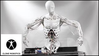 CLONE ROBOTICS Introducing Torso [upl. by Suryt]