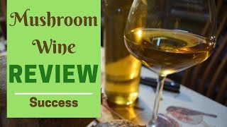 Mushroom wine  taste test and review [upl. by Lanti875]