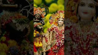 radha krishna status tarot024likesubscribe 👍👍👍 [upl. by Inasah]