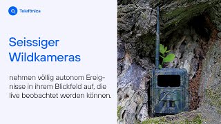 Seissiger Wildkamera – mit der GlobalSIM von Telefónica [upl. by Anawk544]