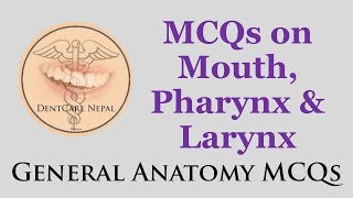 General Anatomy MCQs  Mouth Pharynx and Larynx NBDE NDEB AIPGEE AIIMS ADA etc [upl. by Shere]