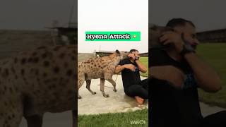 Hyena attacked me 😳 hyena [upl. by Airdnaz56]