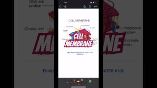 Structure of cell membrane education icse neetshorts [upl. by Heilner]